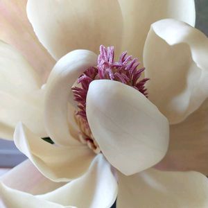 山野草,収穫,生け花,道の駅,えだものの画像