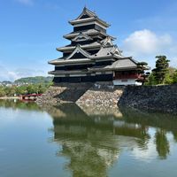 ジャーマンアイリス,シロツメクサ,ヤグルマギク,フランスギク,ムラサキツメクサの画像