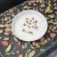 多肉植物,葉挿しの画像
