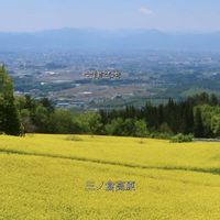 菜の花,三ノ倉高原,ほんとうの空のある福島,喜多方市,自然は面白いの画像