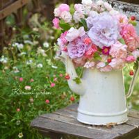 ヘビイチゴ,ミニバラ,レイニーブルー,エリゲロン,お庭の花の画像