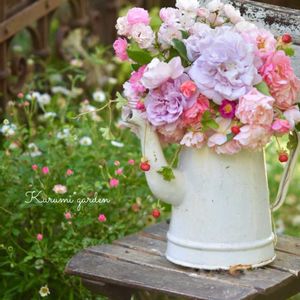 ヘビイチゴ,ミニバラ,レイニーブルー,エリゲロン,お庭の花の画像