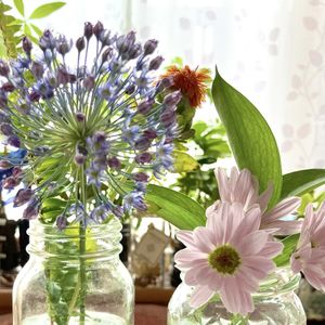 アリウム,スプレーマム,切り花,花のある暮らし,お花の定期便の画像