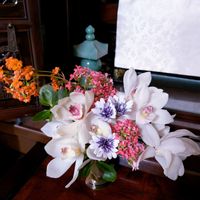 カランコエ,シンビジウム,オステオスペルマム,八重咲きカランコエ,祈る震災復興の画像