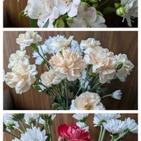 アルストロメリア,切り花を楽しむ,可愛いお花達,世界に平和を,いつもありがとう(^-^)の画像