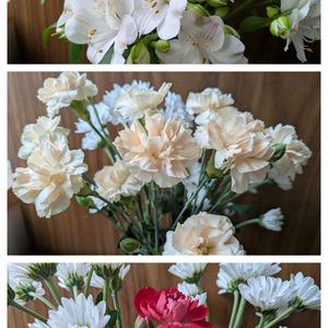 アルストロメリア,切り花を楽しむ,可愛いお花達,世界に平和を,いつもありがとう(^-^)の画像