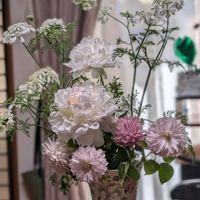 オルラヤ,クレマチス,シャクヤク,切り花,可愛い〜♡の画像