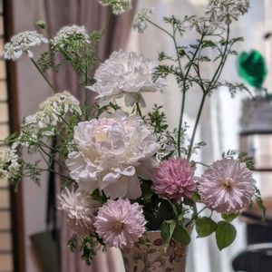 オルラヤ,クレマチス,シャクヤク,切り花,可愛い〜♡の画像