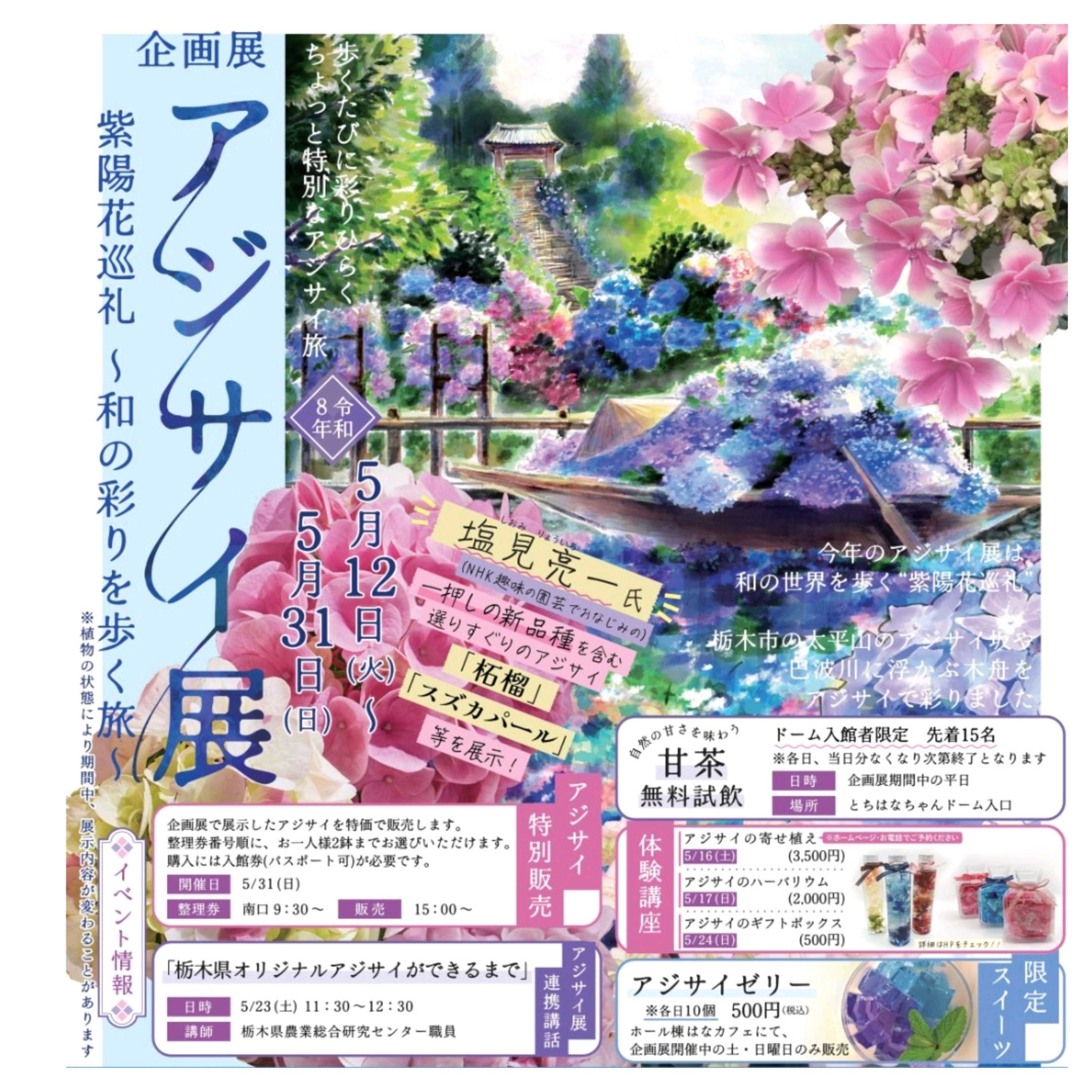 No.763 とちぎ花センター2026年6️⃣ アジサイ展｜🍀GreenSnap