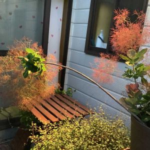 花のある暮らし,エクステリア,テラスの画像