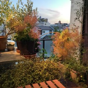 エクステリア,テラスの画像