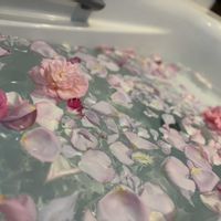 クレマチス,バラ,バラ フリージア,押花の額,バラ　ブルーナイルの画像