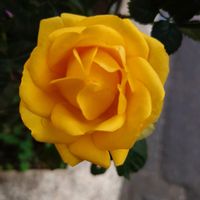 ベランダの画像