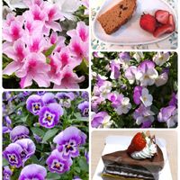 パンジー,小さな幸せ♡,毎月15日はいちごの日,花友さんに感謝♡,こぺんちゃん通信の画像
