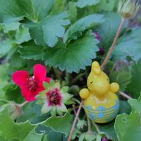 花壇,毎月15日はいちごの日,毎月15日はインコの日,家庭菜園,庭の画像