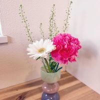 カーネーション,ガーベラ,ナズナ,切り花,生花の画像