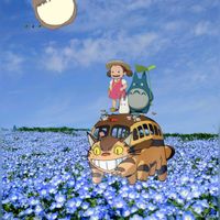 ネモフィラ,いつもありがとう♡,ひたち海浜公園,いつも笑顔で〜〜♡,雲仲間の画像