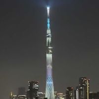パセリ,パセリ,サニーレタス,サニーレタス,紫陽花 ダンスパーティーの画像