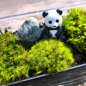 100均,ハンドメイド,手作り,苔テラリウム,コケリウムの画像
