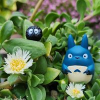 ベビーサンローズ,シレネ・ユニフローラ,かわいい,屋上ガーデン,花のある暮らしの画像