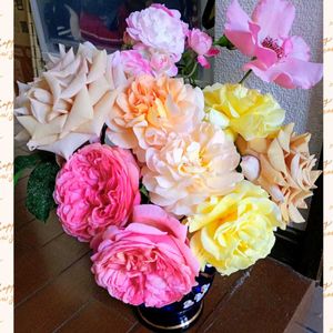 ヒメヒオウギ(姫檜扇),癒し,花遊び,ばら バラ 薔薇,繋がりに感謝の画像