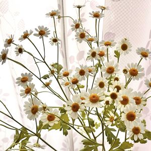 マトリカリア,切り花,花のある暮らしの画像