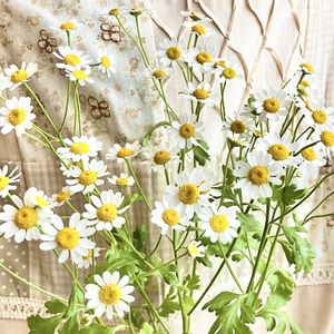 マトリカリア,切り花,花のある暮らしの画像