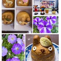 ペチュニア,ペンステモン エレクトリックブルー,サフィニア　るりいろ風ぐるま,サンパラソル ブルーフォリア,花のある暮らしの画像