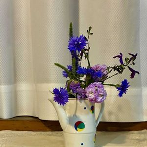 花のある暮らし,緑のある暮らし,GSに感謝。,リビングの窓辺,わんこと暮らすの画像