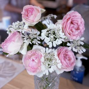 オルレア,オルレア,ピエールドゥロンサール,花のある暮らし,殿堂入りバラの画像