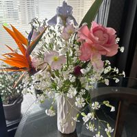 ジャーマンアイリス,ジャーマンアイリス,バラ,ヒルザキツキミソウ,ストレリチア 極楽鳥花の画像