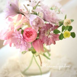 コバノズイナ,ラークスパー,デルフィニウム,ネペタ,お庭の花の画像
