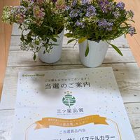 スイートアリッサム ,PR,繋がりに感謝,癒しをありがとう,今を乗切るぞ！の画像