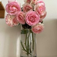 バラ,ピエールドゥロンサール,可愛い,花のある暮らし,お花大好き♡の画像