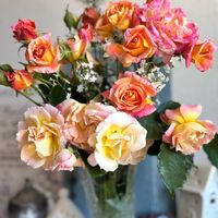 バラ　シャルール,花壇,ガーデニング,ばら バラ 薔薇,小さな庭の画像