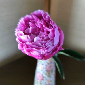 和室,その他部屋の画像