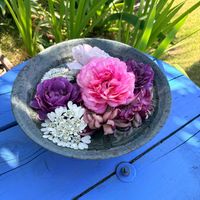 今庭,花のある暮らし,バラのある暮らし,広い庭の画像