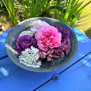 今庭,花のある暮らし,バラのある暮らし,広い庭の画像