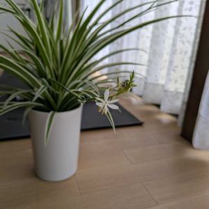 テラスの画像