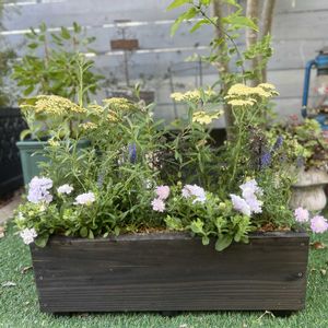 寄せ植え,ガーデニング,プランター,リメイク,小さな花壇の画像