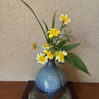 ドライフラワー,生花,元気もらえる,お花のある暮らしの画像