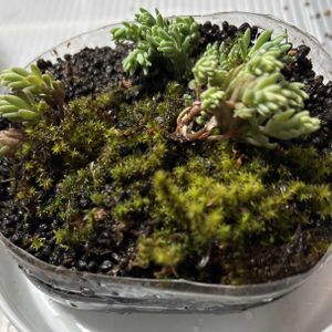 窓辺,棚,テラス,ベランダ,玄関アプローチの画像