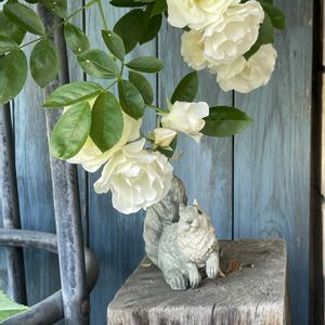 サマースノー,ガーデン雑貨,小庭,板壁DIY,極狭ガーデンの画像