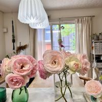 ピエールドゥロンサール,花瓶,今日の一枚,ばら バラ 薔薇,庭の画像