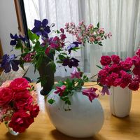 切り花,切り花を楽しむ,ミッチの会の画像