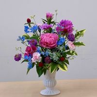 カーネーション,シャクヤク,スカビオサ,センニチコウ,ダリアの画像