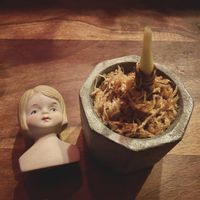 アロカシア,アロカシア,アロカシア　レッドシークレット,アロカシア クプレア レッドシークレット,アロカシア クプレア レッドシークレットの画像