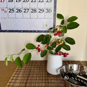 ジューンベリー,ジューンベリー,プライバシー権により抽象化,赤い実,ご近所の画像