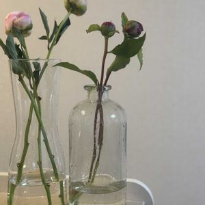 シャクヤク,お花屋さん,花のある暮らし,ガラスの花瓶,町のお花屋さんの画像