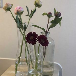 ガーベラ,お花屋さん,花のある暮らし,ガラスの花瓶,町のお花屋さんの画像